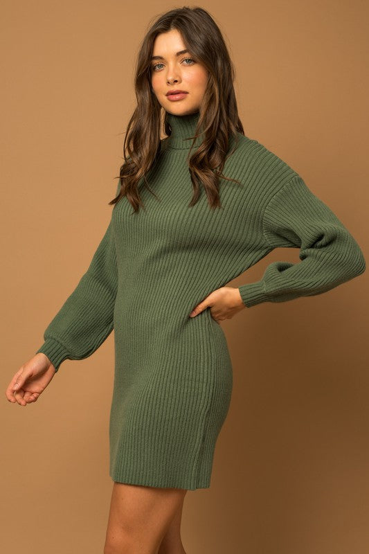 Turtle Neck Balloon Sleeve Sweater Dress-2